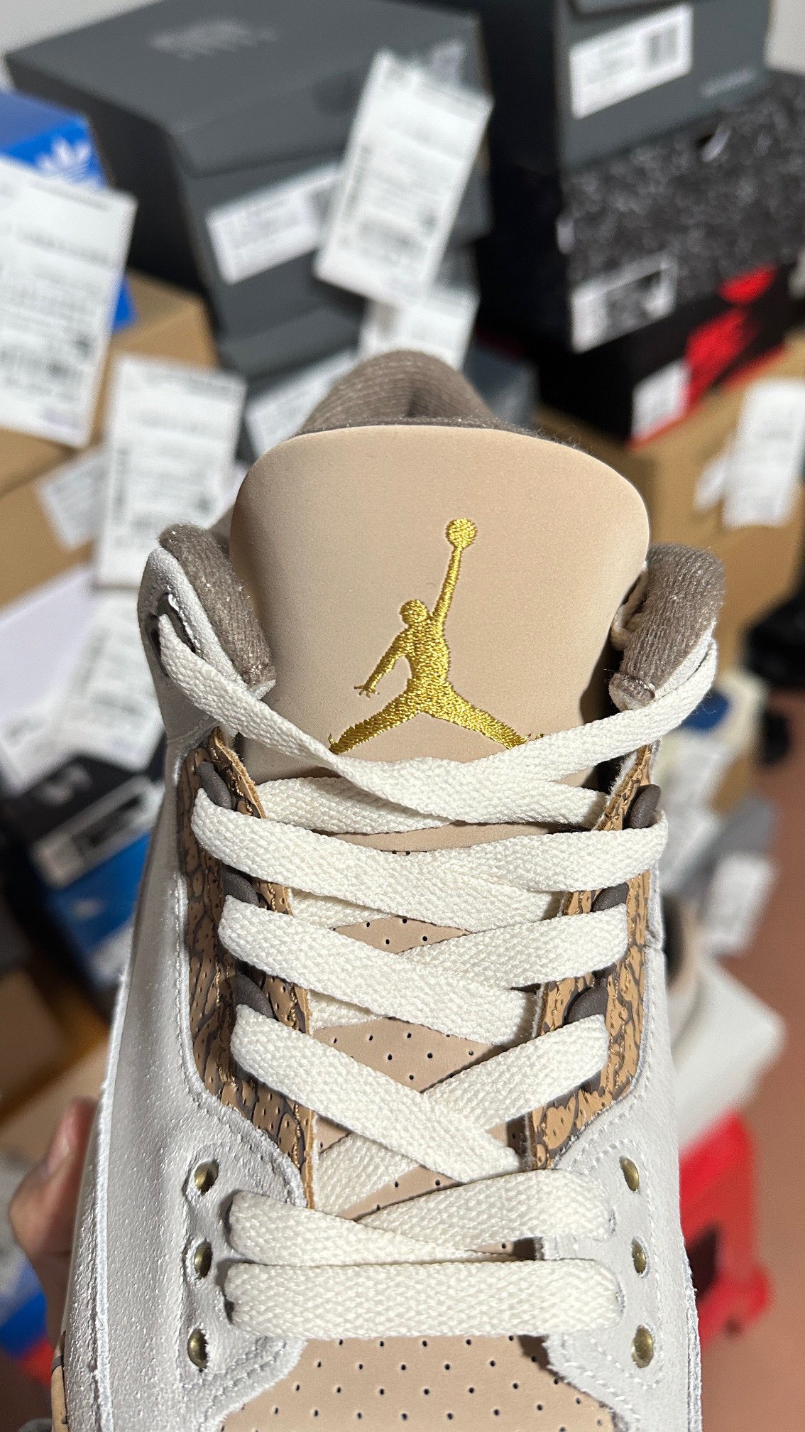 Nike Jordan shoe